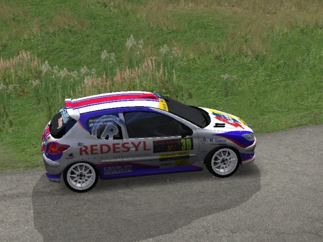 Skin Antonio Perez Peugeot 206 Gr.A Volante Racc Richar31