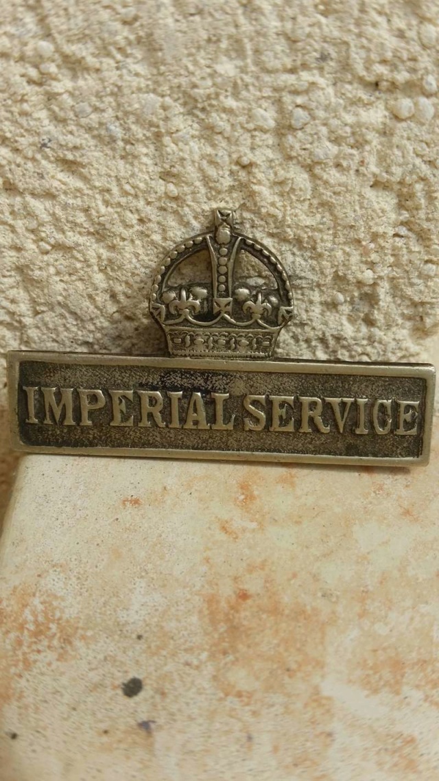 Insigne du service impérial de la Force Territoriale   1_0_ch17