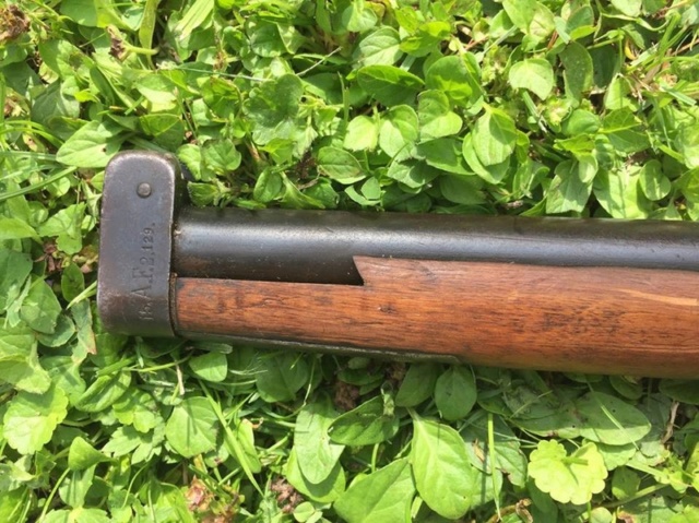 Le Gewehr 1891  1_4117