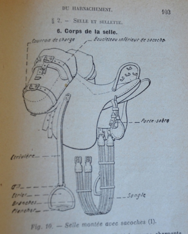 Traction hippomobile - l'attelage "à la Daumont"  3_1419