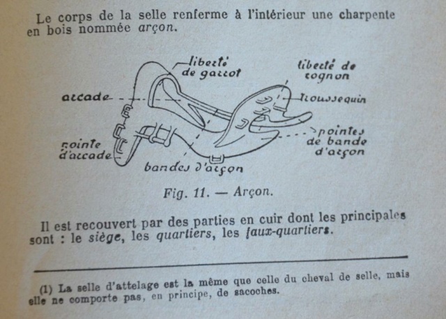 Traction hippomobile - l'attelage "à la Daumont"  3_1517