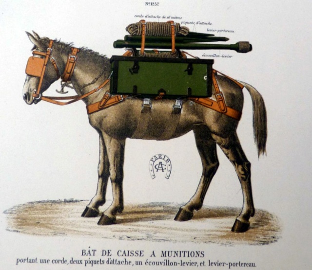 Harnachement de mulets et ânes  4_3164