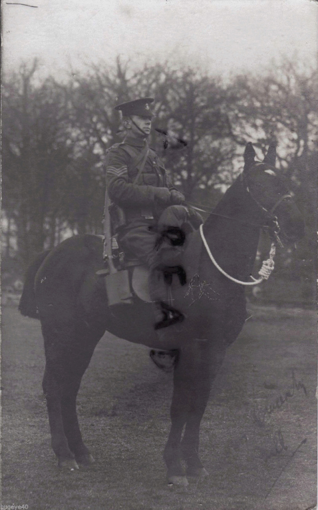 La cavalerie anglaise 5_910