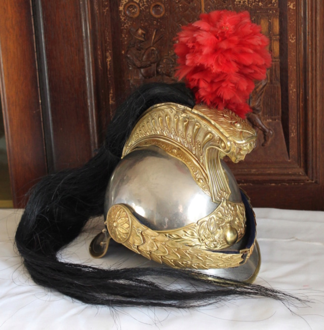 Le casque de dragon modèle 1874 (Troupe et officiers)  Adjuda11