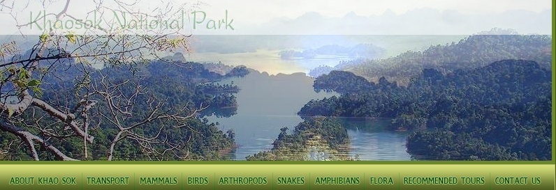 Thailande - Découvrir Khao Sok et autres parcs nationaux Screen21