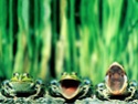 Les Amphibiens 1hpvs011