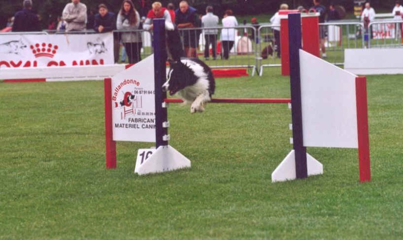 L'agility encore et encore Happy_10