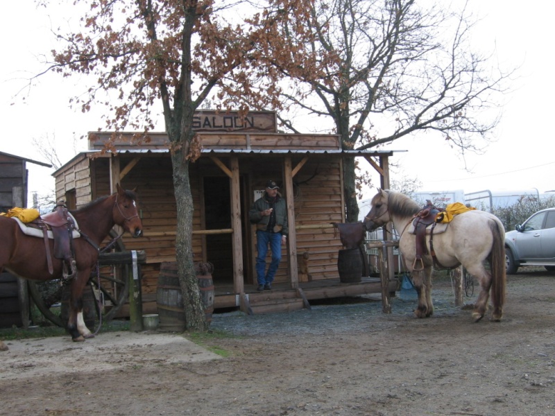 Appaloosa et photo de mode - Page 3 Img_3910