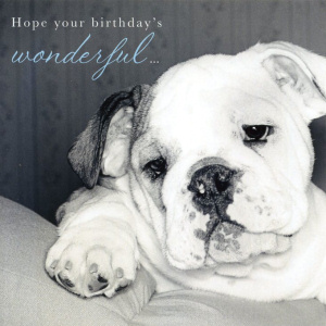 Happy Birthday Bentley Dog10