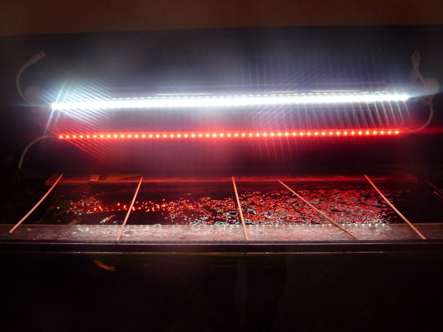 Objectif remplacer un éclairage tube fluorescent par un éclairage à LED Bandea11