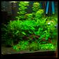 AQUASCAPING & BACS PLANTES