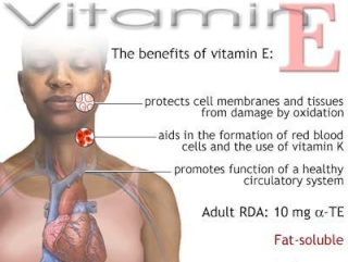 Tudo sobre a vitamina E Vitami11