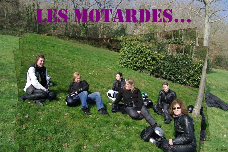 [BALADES] Balade spéciale filles le Dimanche 6 Mars 2011!! - Page 5 Milo5114