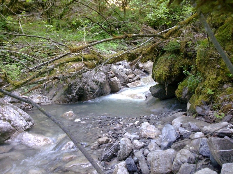 ruisseau du 74 Photo053
