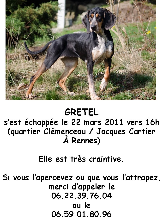 URGENT gretel a fugué, besoin d'aide  Gretel10