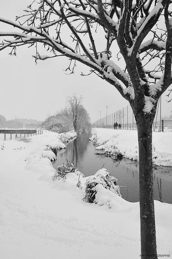 Entre 2 départements Dsc_0216