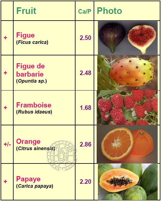 Alimentation des tortues exotiques Fruits11