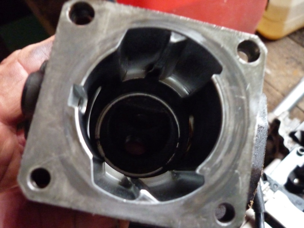Kit piston cylindre sur une débrousailleuse Stihl FS 350 P1210430