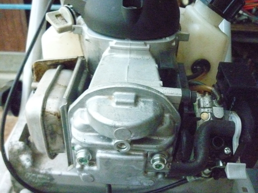 micro bêche Staub à moteur Honda 4T 25cm3 horizontal P1260215