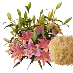 Las flores y el arroz Arroz110