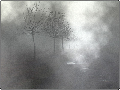 El rocío Niebla10