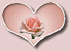 texturas rosas Coeur10