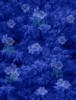 texturas azules Flores21