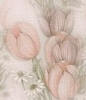 texturas rosas Fondo121