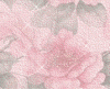texturas rosas Fondo126