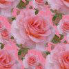 texturas rosas Fondo216