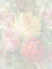 texturas rosas Fondo222