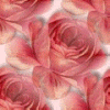 texturas rosas Fondo239