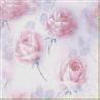 texturas rosas Fondor15