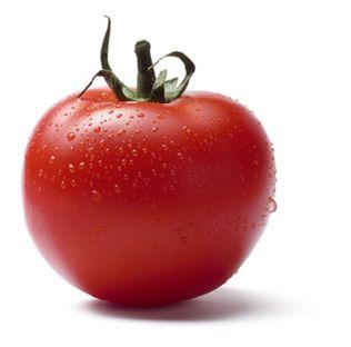 El tomate Tomate10