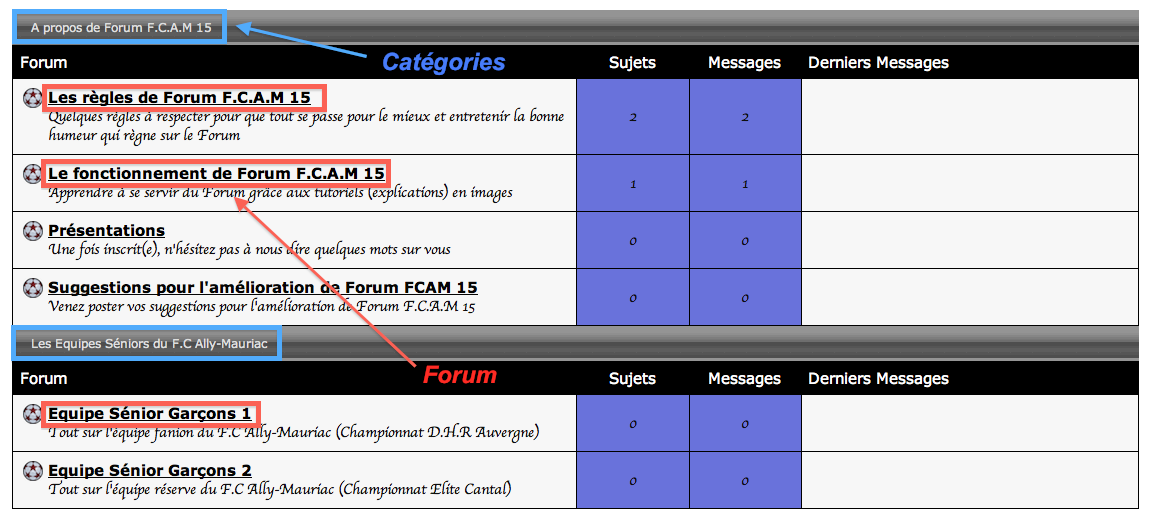 La structure de Forum F.C.A.M 15 Captur12