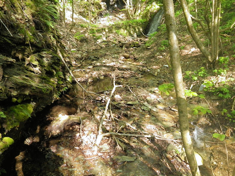 Restauration d'un ruisseau pépinière Imgp0036