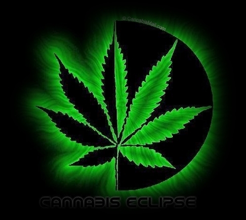 www.marihuana cs 1.6.darkbb.com