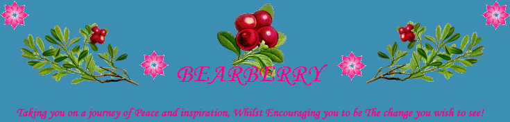 Bearberry Inspirations - Portal Jac66w10