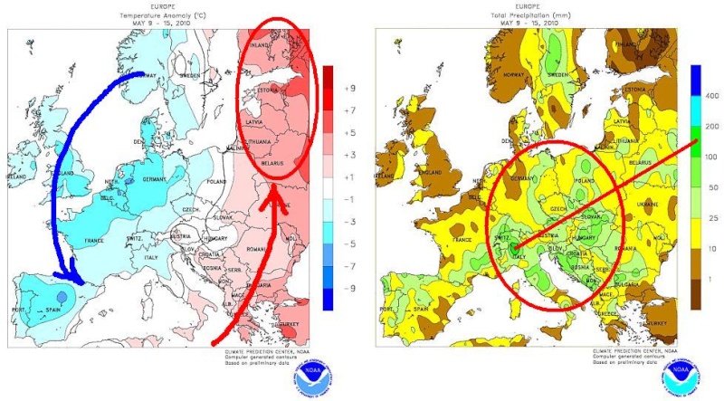 Anomalie termo-pluviometriche 9 - 15 maggio, maltempo in est Europa. 9_15ma10
