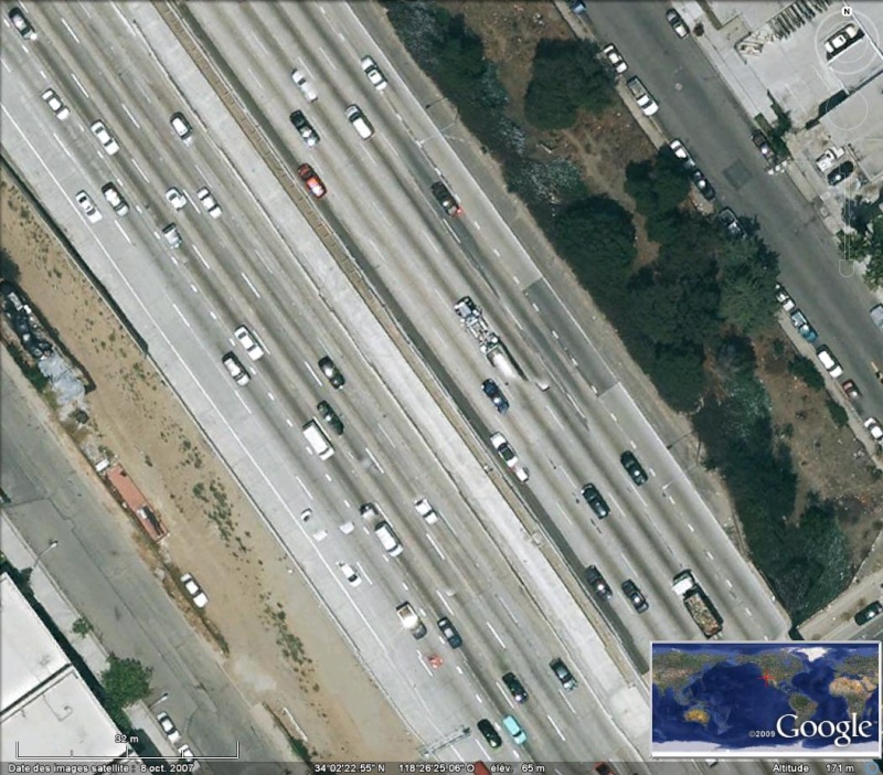 Bugs sur l'autoroute à West Los Angeles, Californie - Etats-Unis / USA Bug10