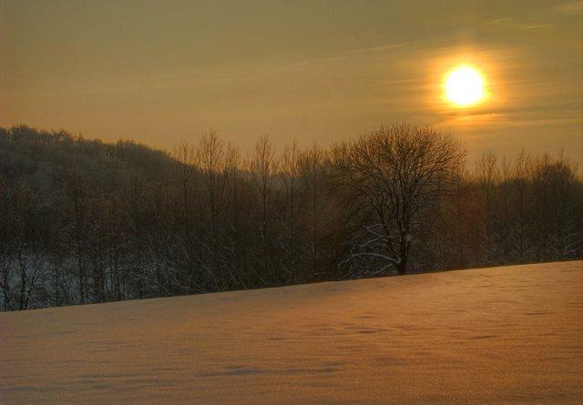 {Jour 1} Premiers pas sous la neige... - Page 2 251_6410