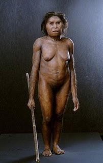 El Homo Floresiensis, la evidencia de un mito que resurge . Flo10