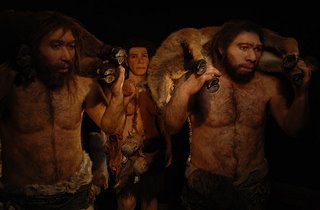 Neanderthal : Las Semi rectas de la Evolución . Neande12