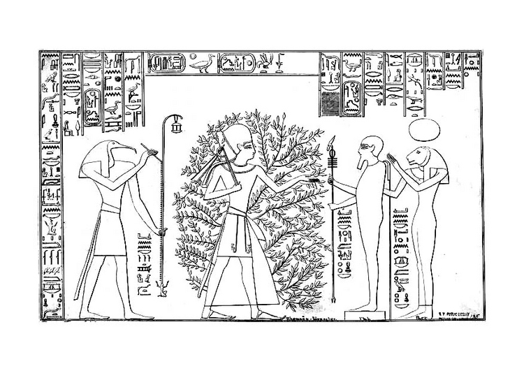 arbol - Lectura N° 1 . El Arbol de las Estrellas y de la Mente Humana , Esfera de Malkuth . Ramses10