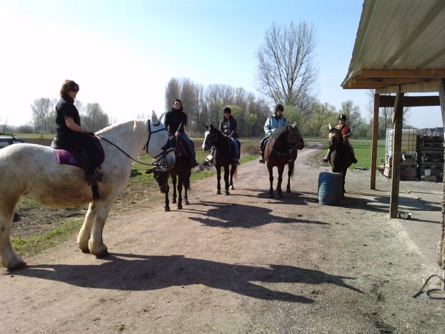 JEUX A L'ECURIE AVEC RAND'OKLA P0704110