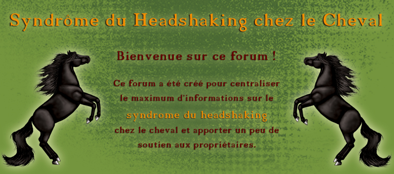 Syndrome du Headshaking chez le Cheval