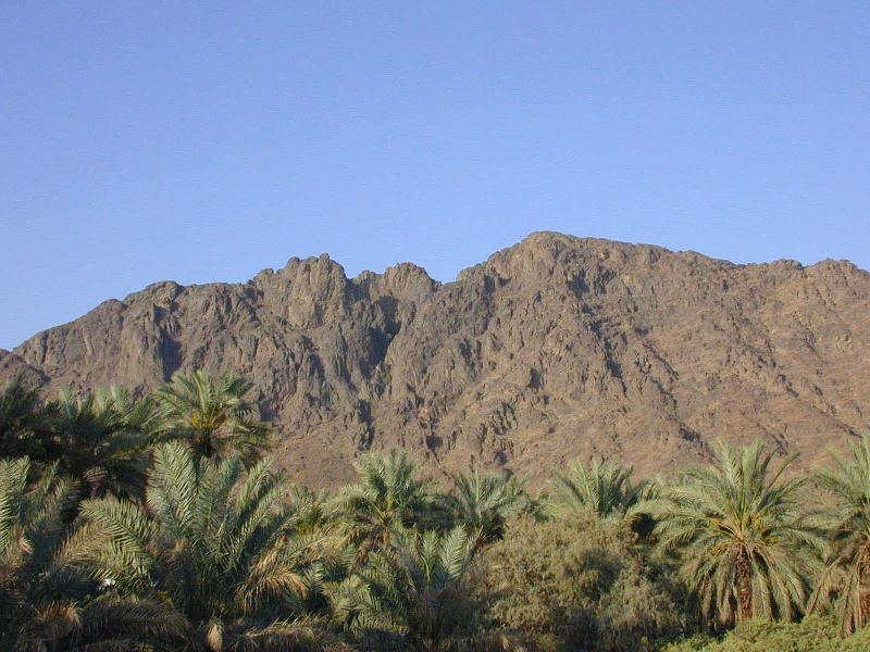 Uhud Dağı (Medine-i Münevvere) fotoğrafı Uhud_d10