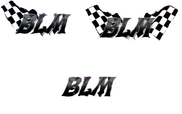 Autocollants BLM (photo) Logo_b10