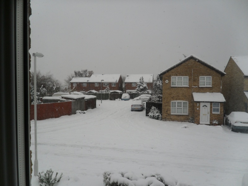 More Snowy England Sam_1313