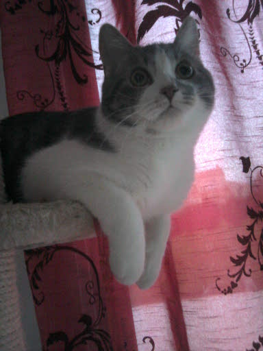 filou - Page 8 12908715